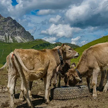 Haus Wallis By Stayfritz - Ski-in Ski-out 'garni' Am Arlberg Bed & Breakfast 3*